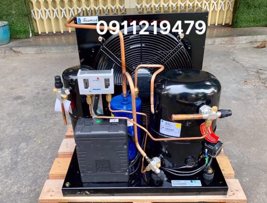 Nhập khẩu nguyên cụm máy nén Tecumseh 2hp EPL2480Z 