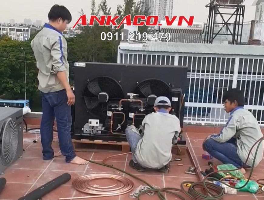 Cung cấp, lắp đặt cụm máy nén kho lạnh Copeland 9 hp ZB66KQ-TFD-550 tại Cà Mau