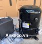 0911.219.479, cung cấp (block) máy nén lạnh Tecumseh 2.6HP R404 FH4531Z
