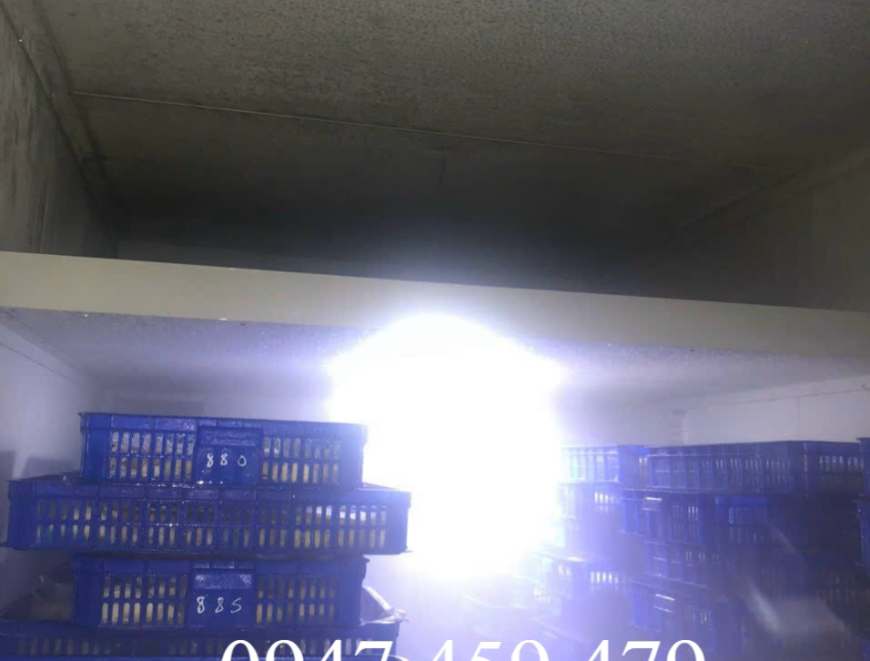 Lắp đặt kho lạnh tại ĐĂK LĂK, (0947459479) Kho lạnh bảo quản sầu riêng