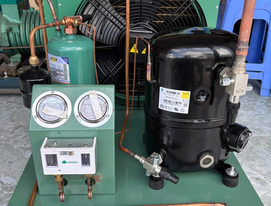 Cung cấp lên cụm máy nén kho lạnh Tecumseh 3hp TFH2511Z tại Quận 7