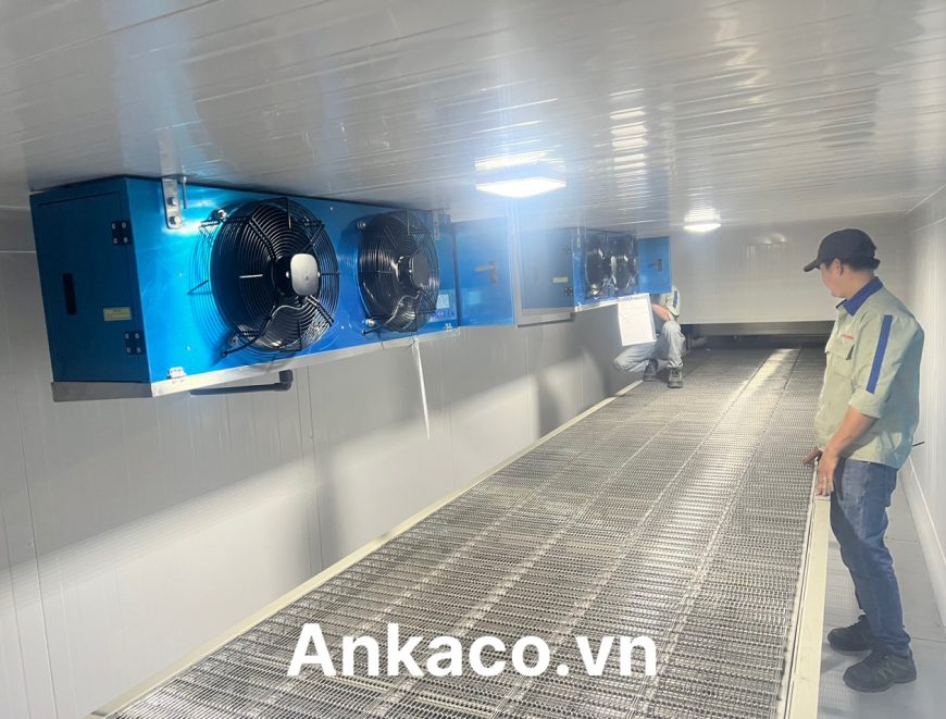 0947459479 Tư vấn lắp đặt kho lạnh bảo quản băng chuyền