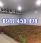 0947459479 Lắp đặt kho lạnh trữ trái thanh long Tại Bình Thuận