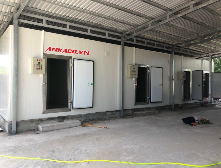 Lắp đặt kho cấp đông kho lạnh bảo quản sầu riêng 0947459479