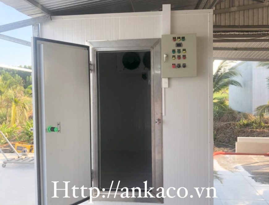 Bàn giao kho lạnh mini kho lạnh bảo quản thực phẩm